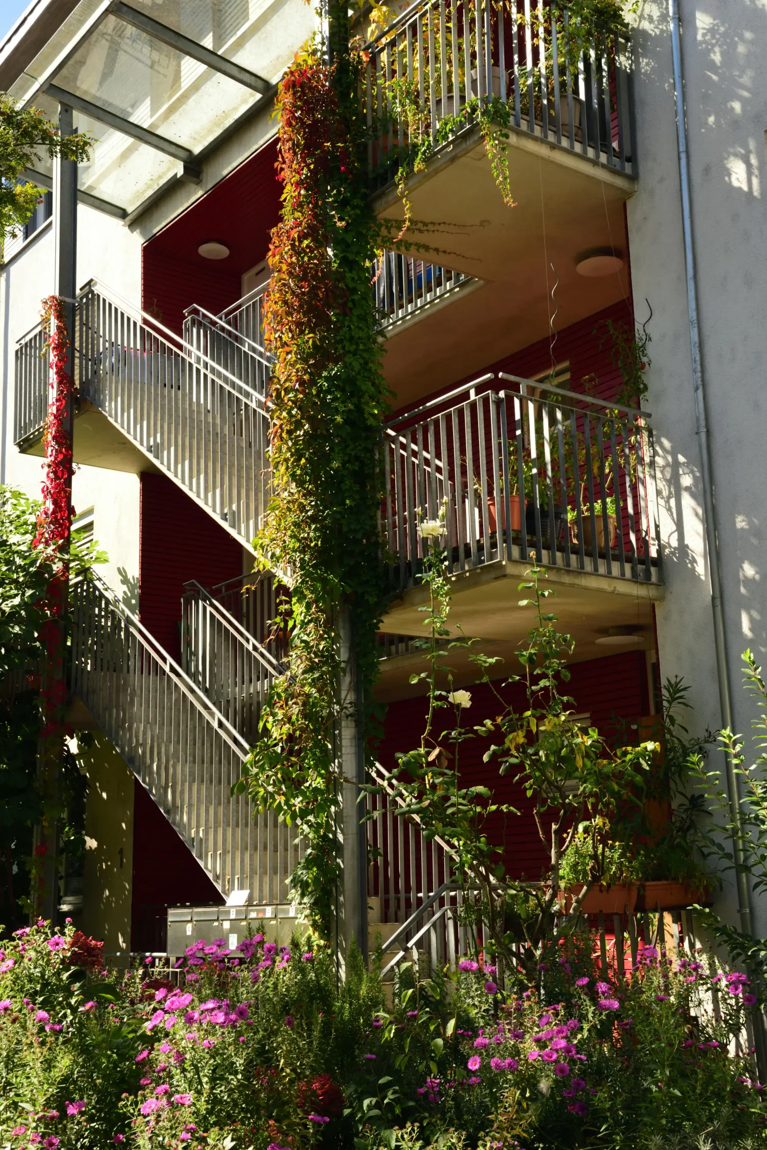 Glasgeländer und Edelstahlgeländer im direkten Vergleich für Balkon und Treppe